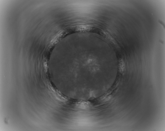 X0000103150716200809051637