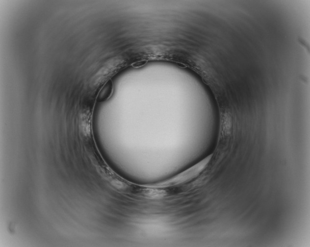 X0000103150719200809051637