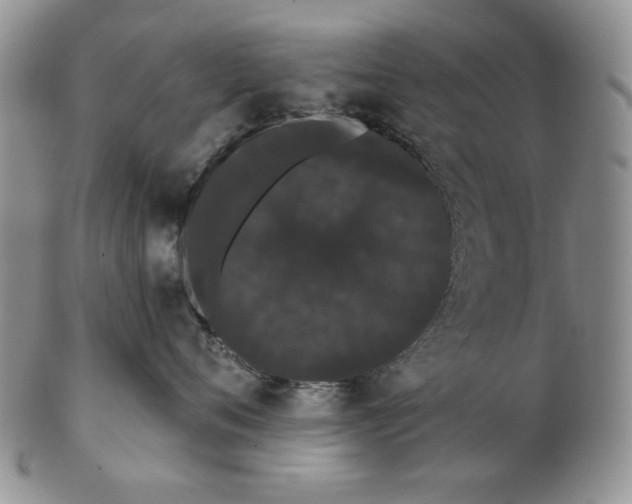 X0000103150720200809051637