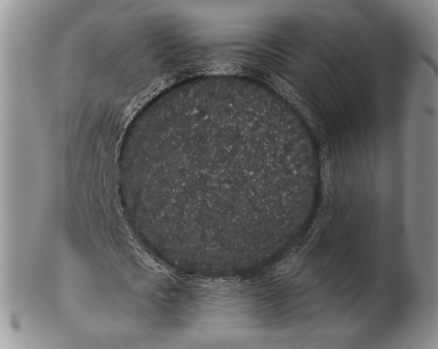 X0000103150721200809051636