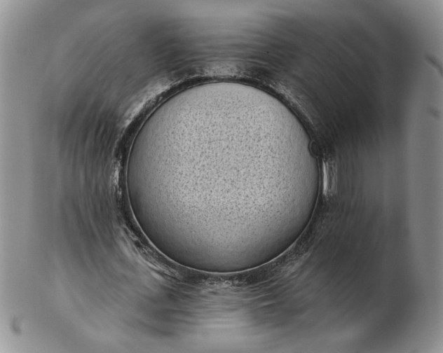 X0000103150723200809051636