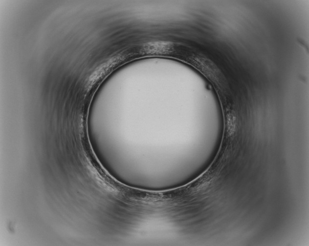 X0000103150725200809051636