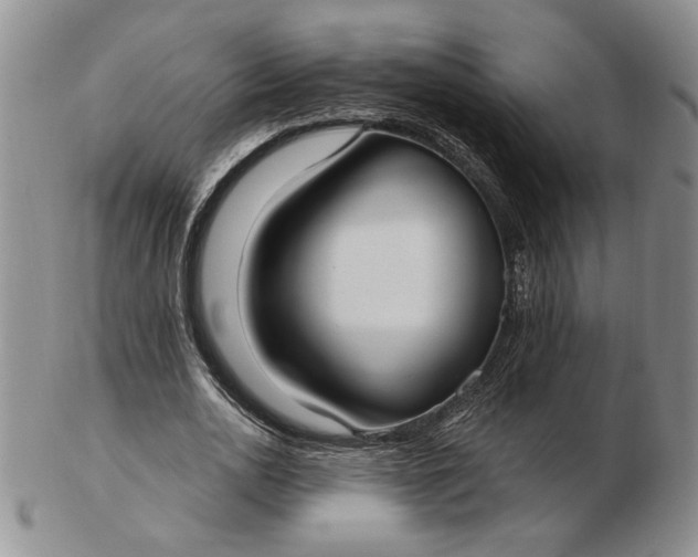 X0000103150726200809051636