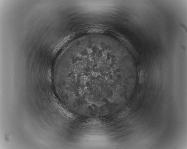 X0000103150729200809051637