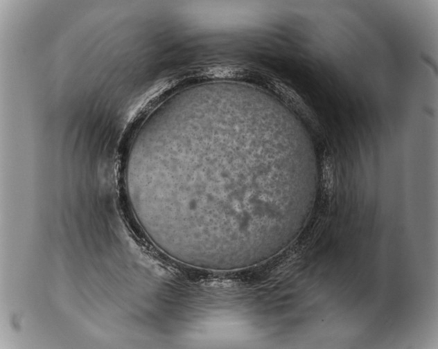 X0000103150730200809051637