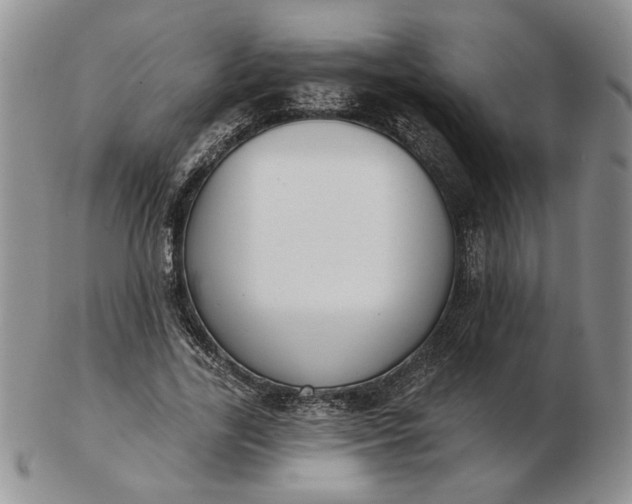 X0000103150731200809051637