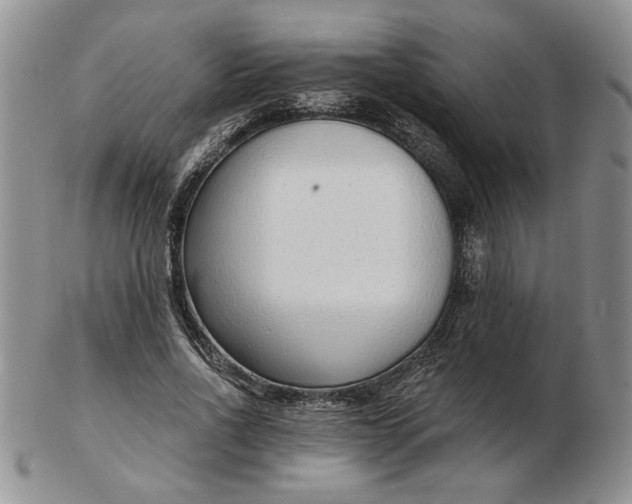 X0000103150734200809051637