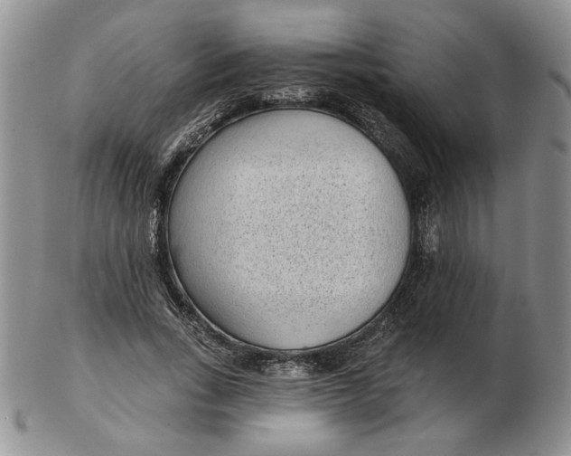 X0000103150735200809051637