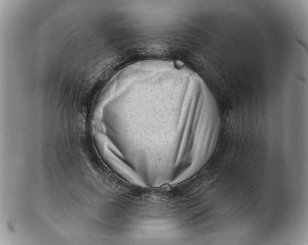 X0000103150739200809051637