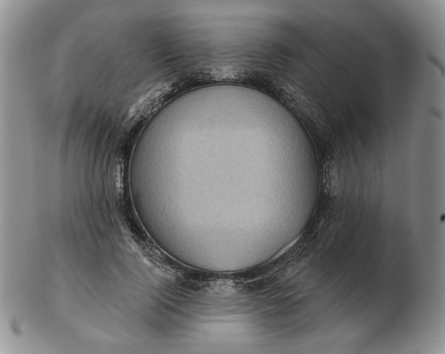 X0000103150740200809051637