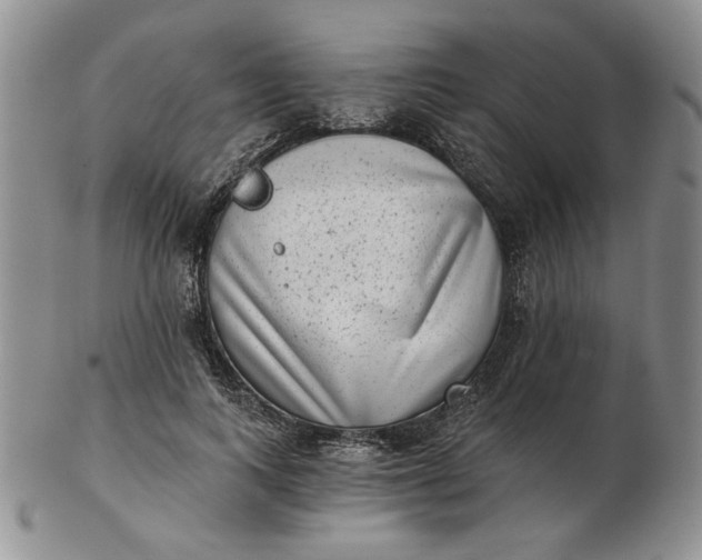 X0000103150743200809051637