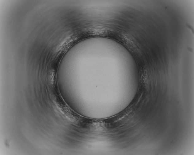 X0000103150744200809051637