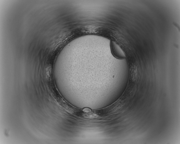 X0000103150747200809051637