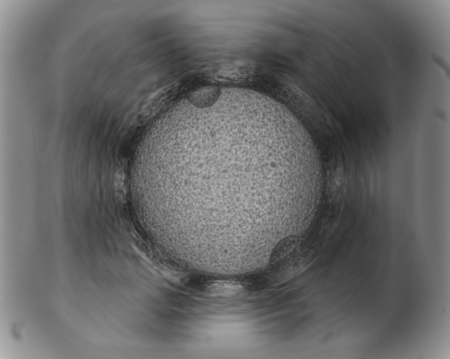 X0000103150749200809051637