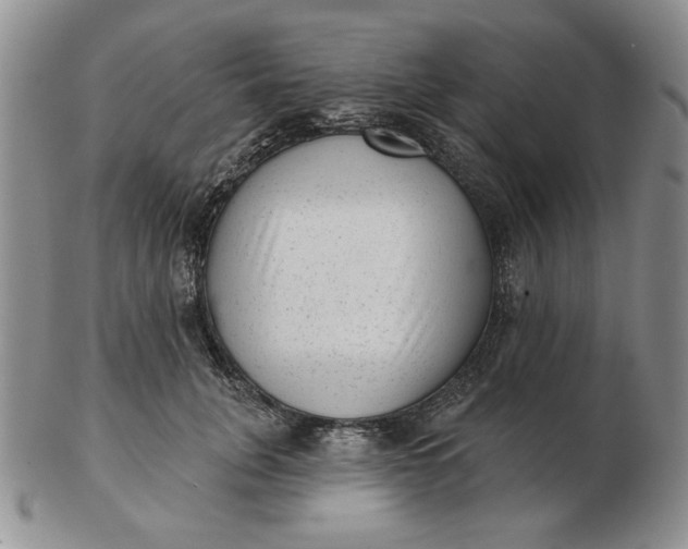 X0000103150751200809051637