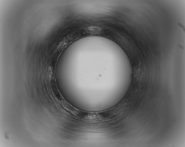 X0000103150752200809051637