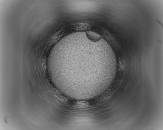 X0000103150753200809051637