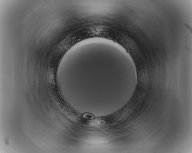 X0000103150754200809051637