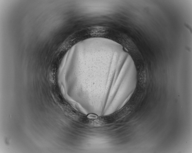 X0000103150755200809051637