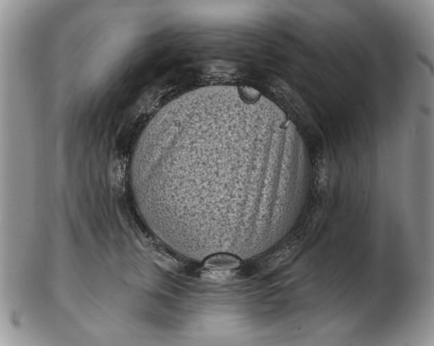 X0000103150759200809051637