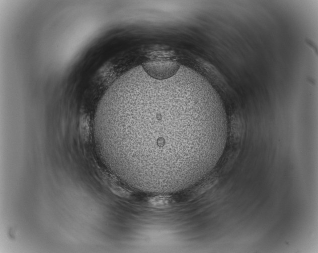 X0000103150761200809051637