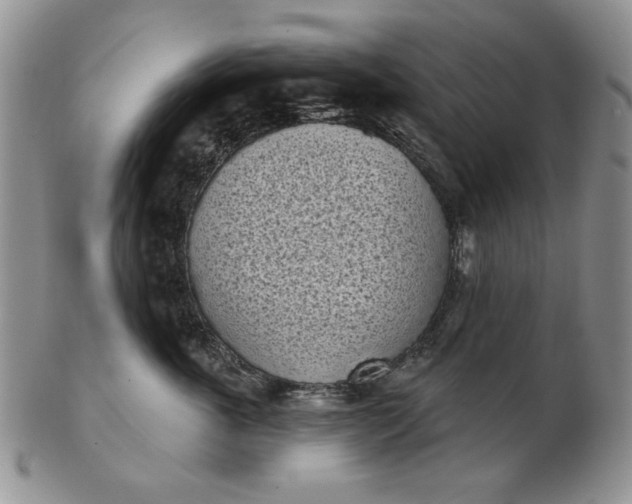 X0000103150763200809051637