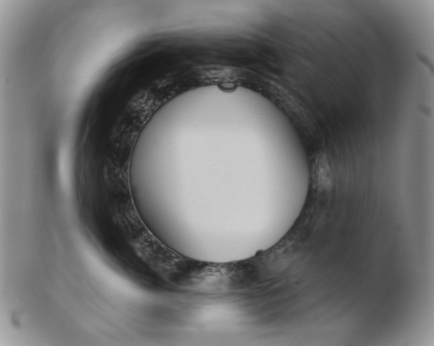 X0000103150764200809051637