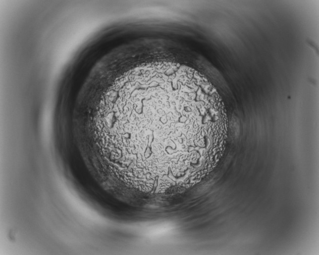 X0000103150765200809051637