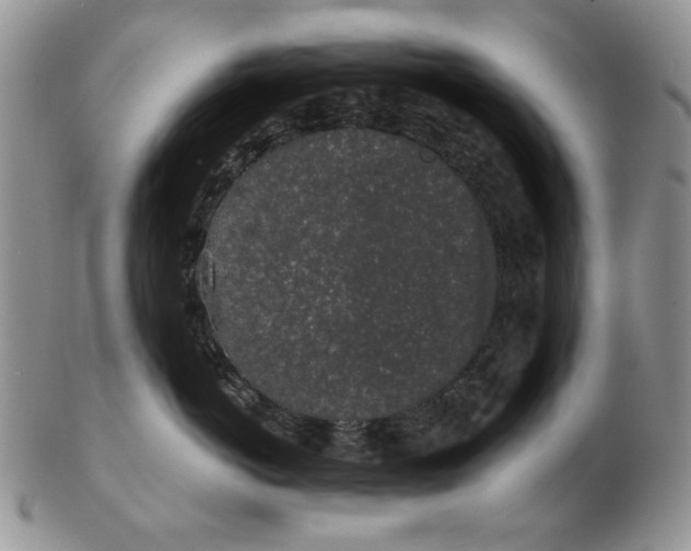 X0000103150766200809051637