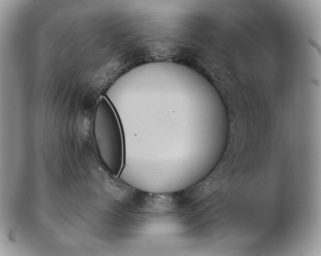 X0000103150768200809051637