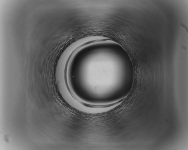 X0000103150769200809051636