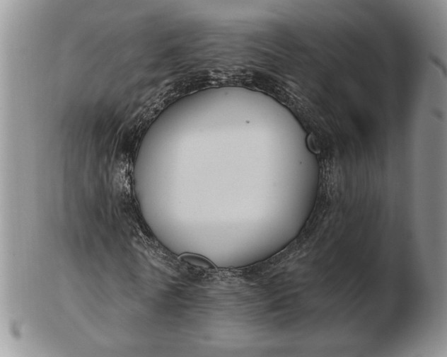 X0000103150770200809051636