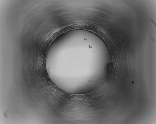 X0000103150773200809051636