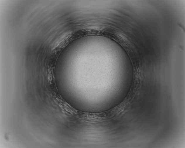 X0000103150774200809051636