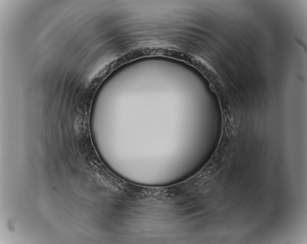 X0000103150775200809051636