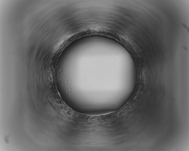 X0000103150776200809051636