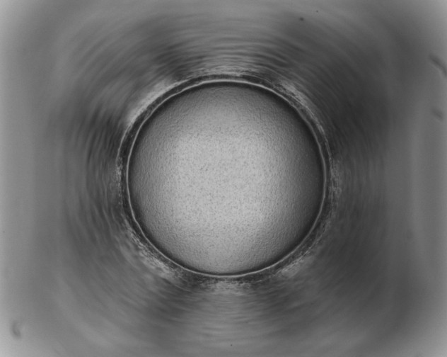 X0000103150779200809051636