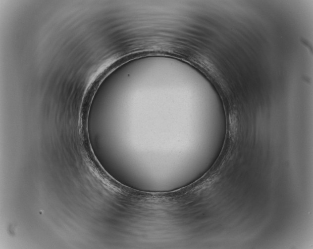 X0000103150780200809051636