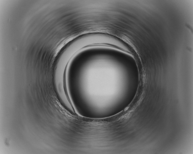 X0000103150781200809051636