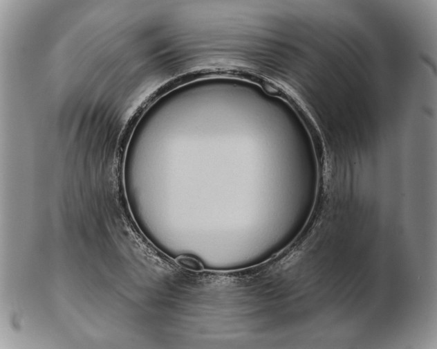 X0000103150783200809051636