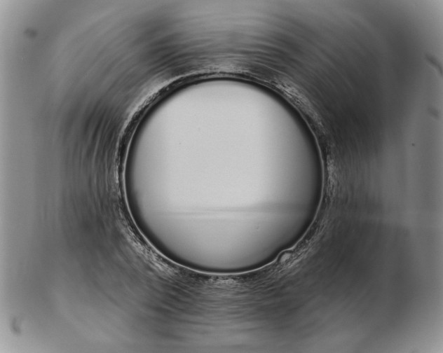 X0000103150784200809051636