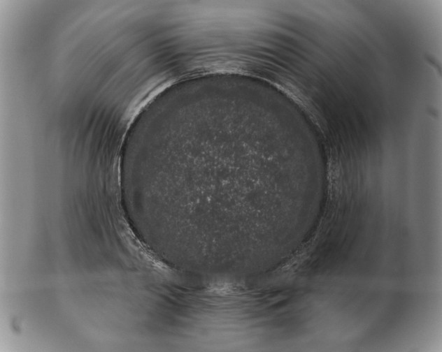 X0000103150790200809051636