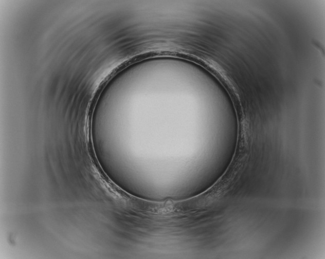 X0000103150791200809051636