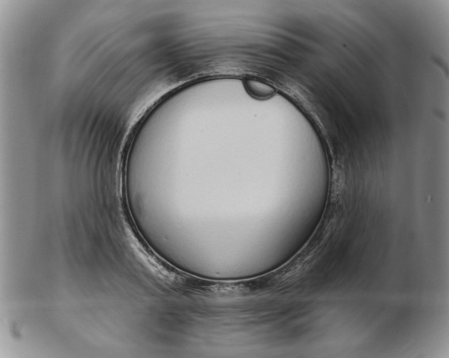 X0000103150795200809051636