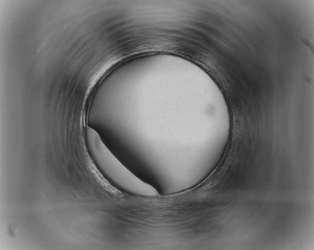 X0000103150796200809051636