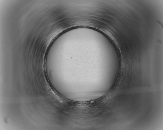 X0000103150799200809051636