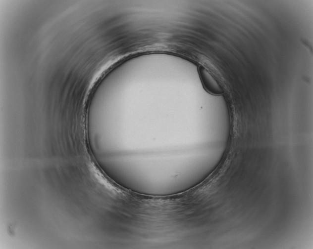 X0000103150800200809051636