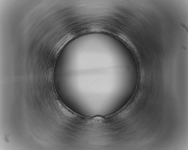 X0000103150801200809051636