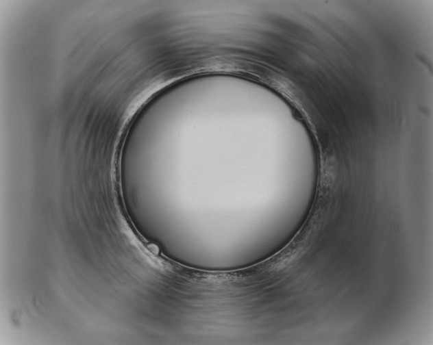 X0000103150803200809051636