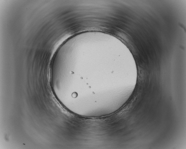 X0000103150804200809051636